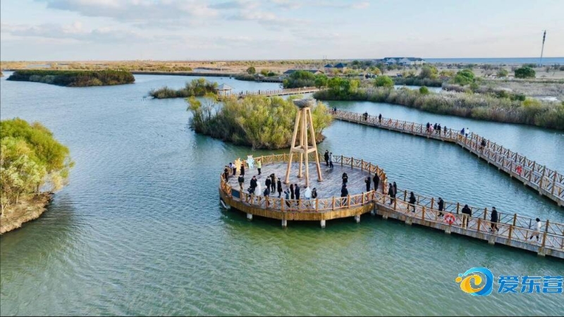 态逐渐形成 态逐渐形成